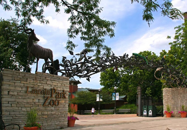 Zoológico Lincoln Park Zoo em Chicago Zoológico Lincoln Park Zoo em Chicago