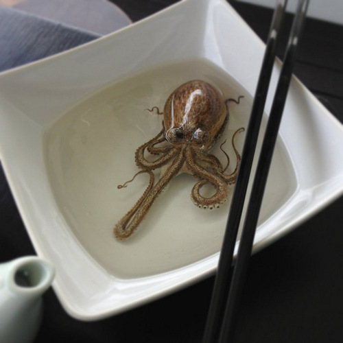 02-Octopus-Keng-Lye-3D-Hyper-Realism-Resin-Acrylic-Painting-Sculpture-Alive-Without-Breath 