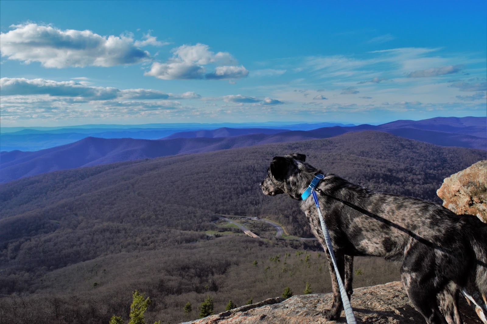 Atlas Does Shenandoah National Park And Myrtle Beach Shenandoah National Park And Myrtle Beach