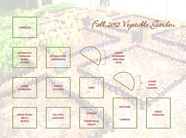 Layout Vegetable Garden Layout Vegetable Garden