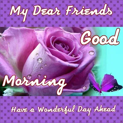 good_morning_have_a_wonderful_day