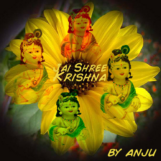 JAI SHREE KRISHNA