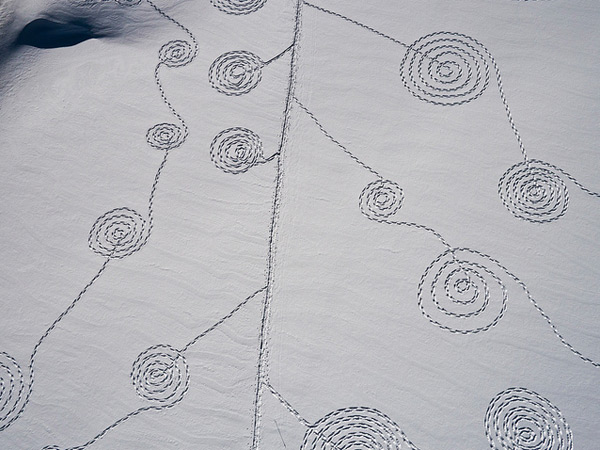 Snow Circles. Sonja Hinrichsen