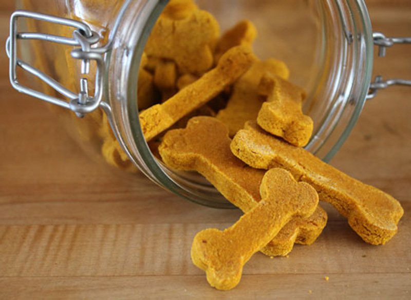A Less Processed Life Made From Scratch Pumpkin Dog Treats