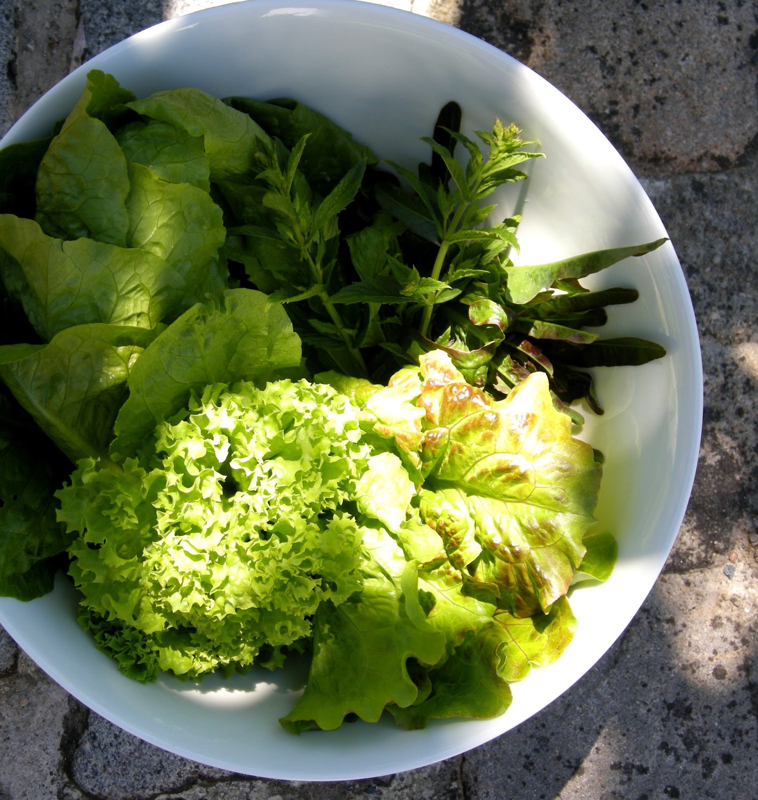 *BEAUTIFUL DAYS* *SOMMER*SONNE*SALAT*