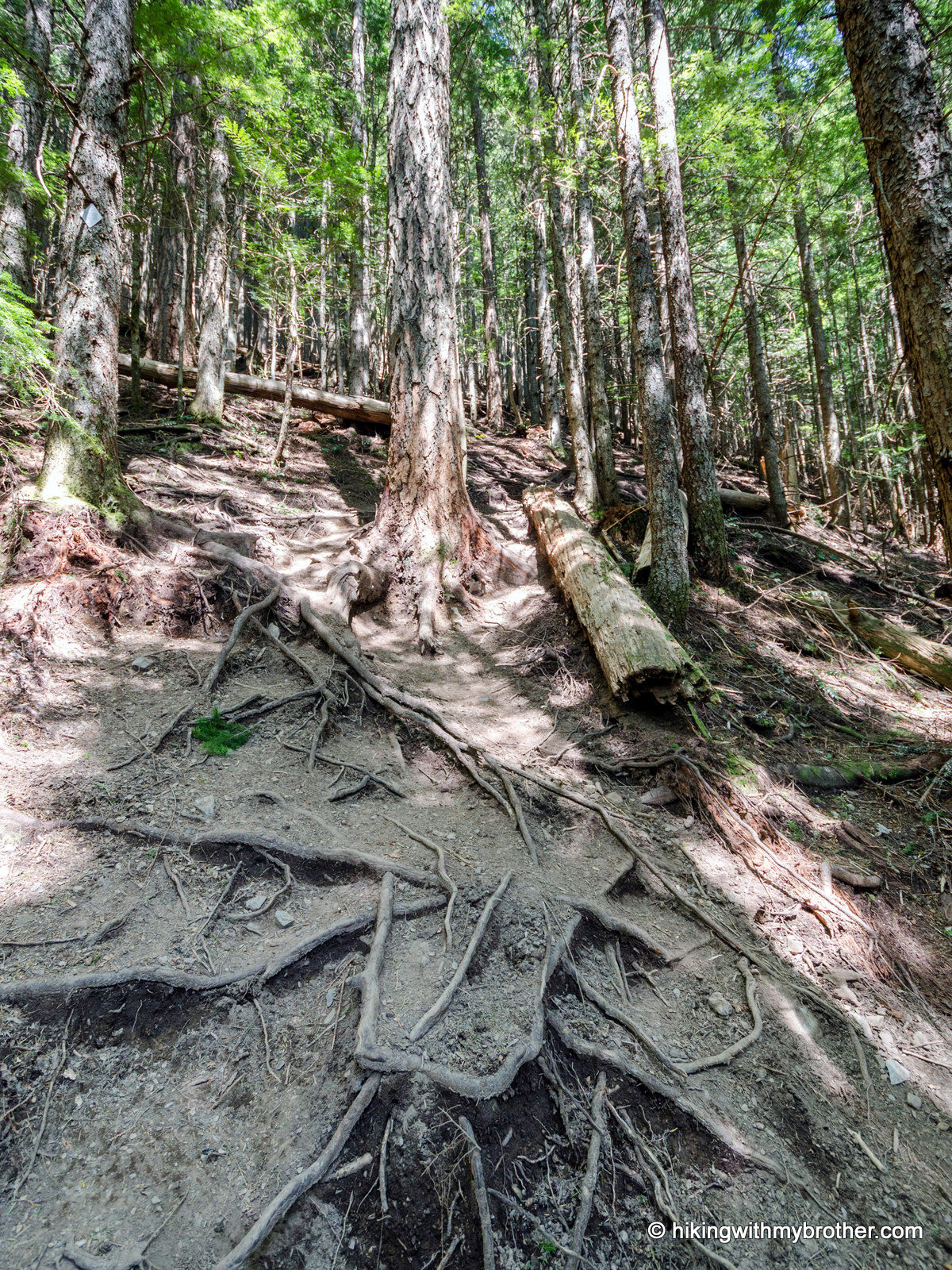 mailbox peak hikingwithmybrother