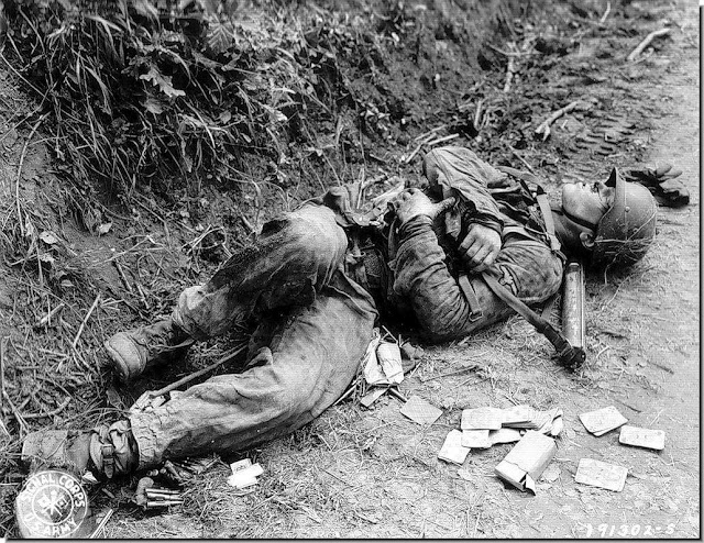 Afbeeldingsresultaat voor waffen ss casualties