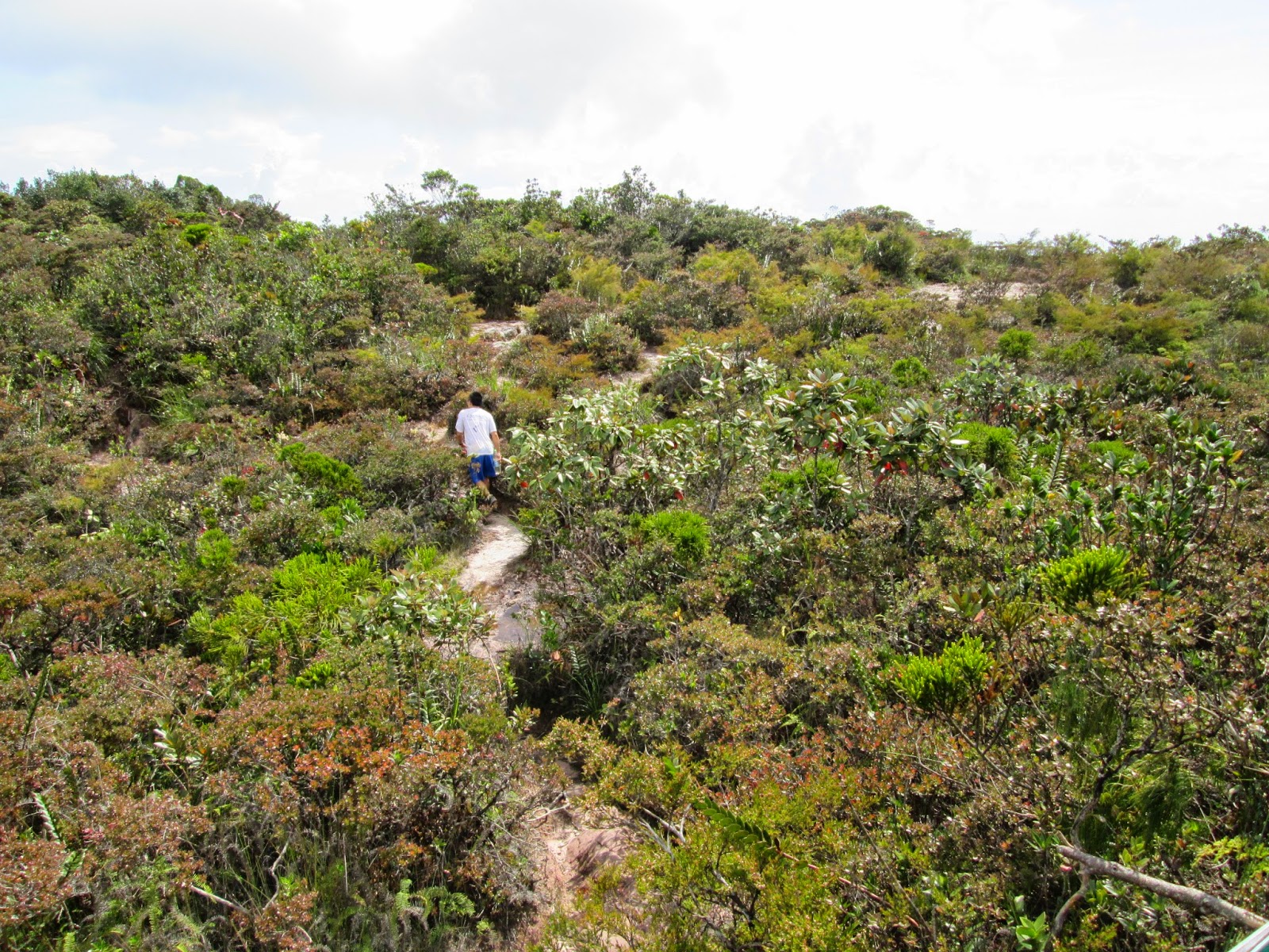 Hiking and Stuff: Gunung Tahan via Merapoh