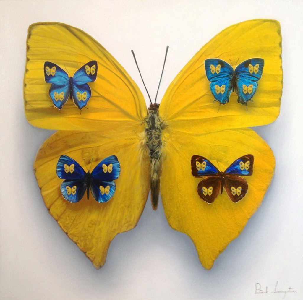 cuadros de oleo de frutas im 225 genes arte pinturas cuadros al 243 leo mariposas y frutas cuadros de oleo de frutas im 225 genes arte pinturas cuadros al 243 leo mariposas y frutas