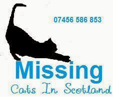 Missing Cats in Scotland
