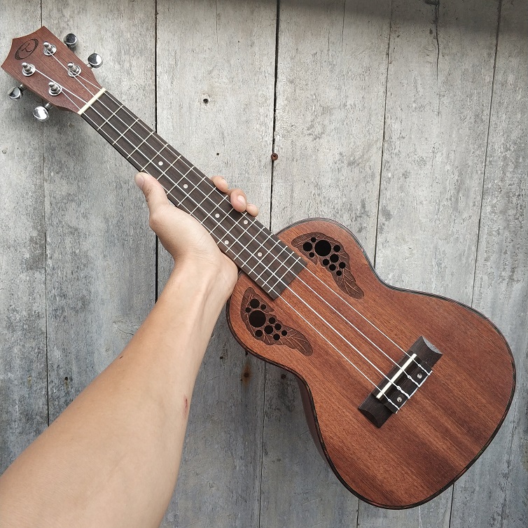 đàn ukulele bws 24 inch đàn ukulele bws