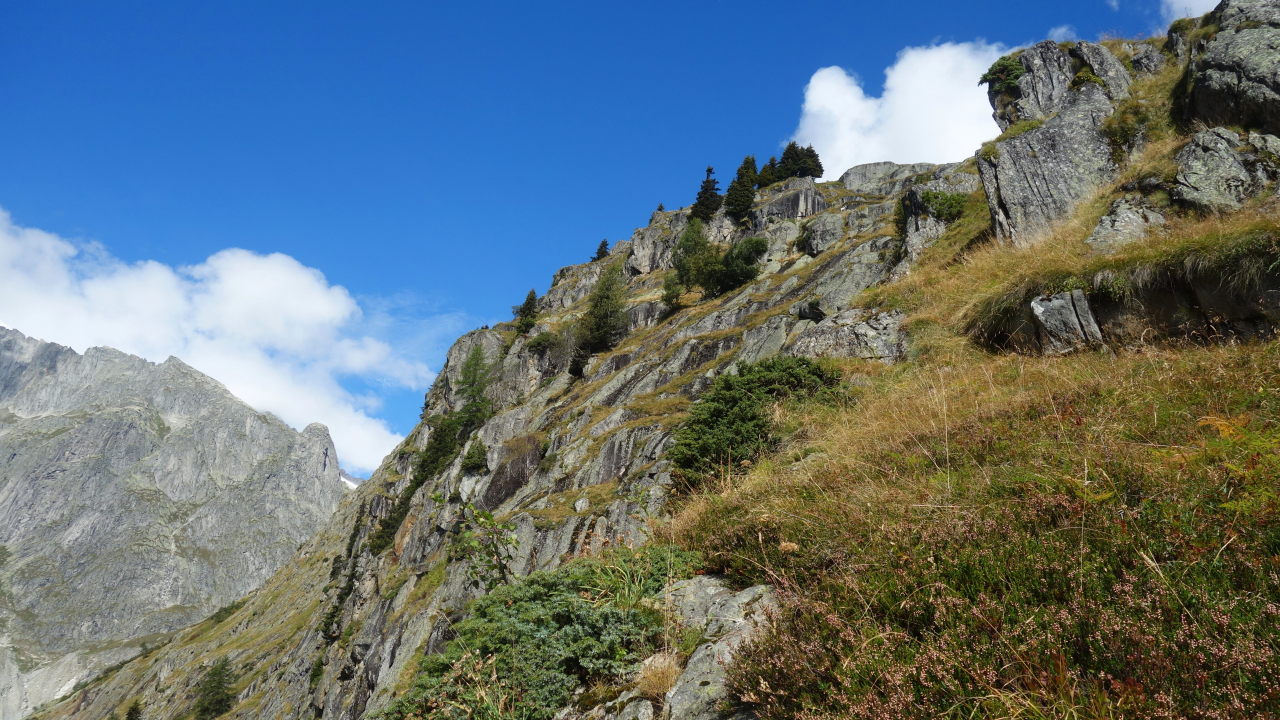 Bilder und Texte zu meinen Wanderungen mit Hund Die neue Hängebrücke