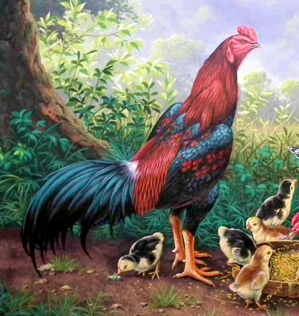  LUKISAN  U KUSMANA Lukisan  Ayam 