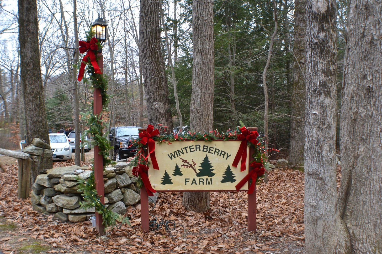 Focus On Killingworth, CT and Surrounding Towns Christmas At
