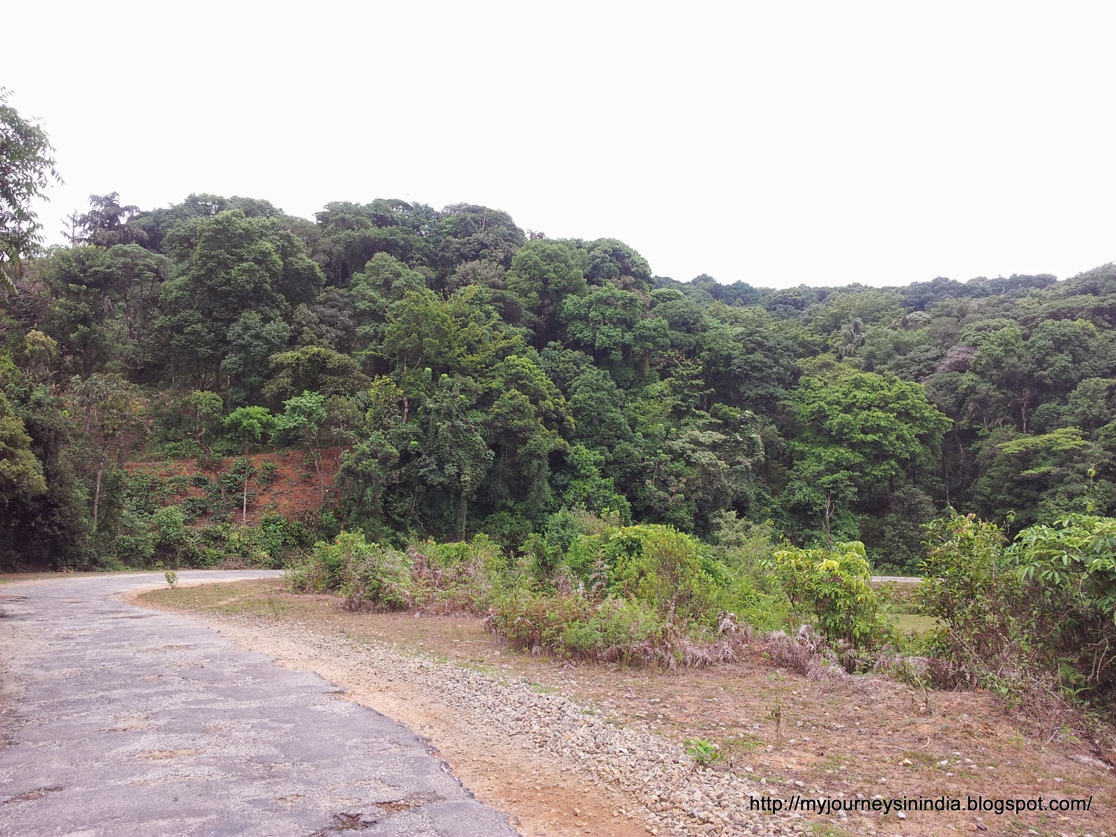 My Journeys In India: Dharmastala Kukke Bisle Ghat Udupi Kollur