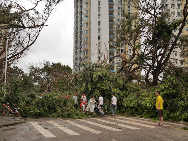 people making their way through debris from Typhoon Hato at the Bay Bar Street in Zhuhai