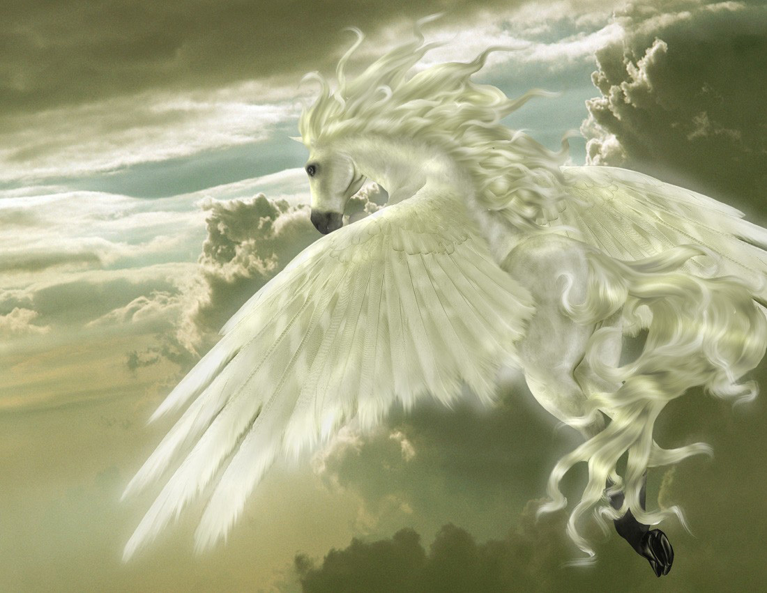 CAÇADORA DE IMAGENS: IMAGENS - PEGASUS