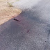 Troops intercept male suicide bomber in Madagali...photo