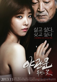 Xem Phim Bông Hoa Ước Vọng Phim Bông Hoa Ước Vọng-Door to the Night (2013)