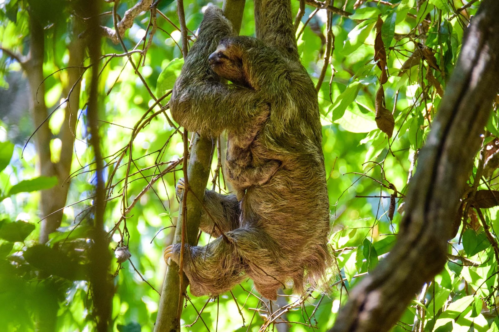 mother and baby cloth in costa rica
