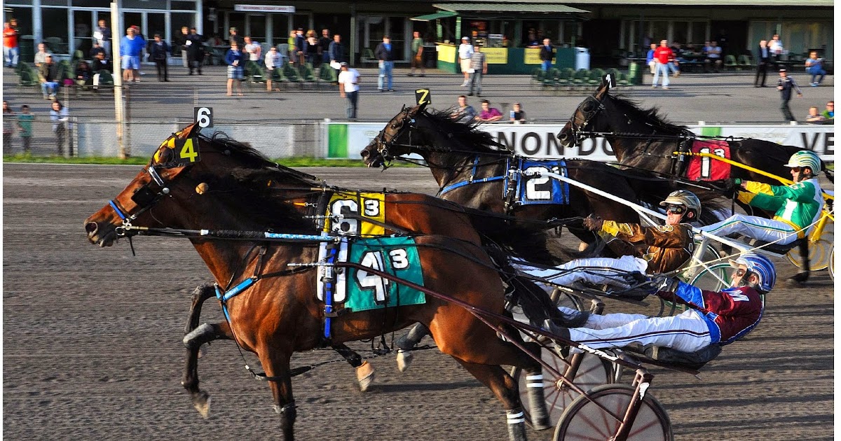 TwinSpires Blog: North America Cup Headlines Huge Stakes Program ...