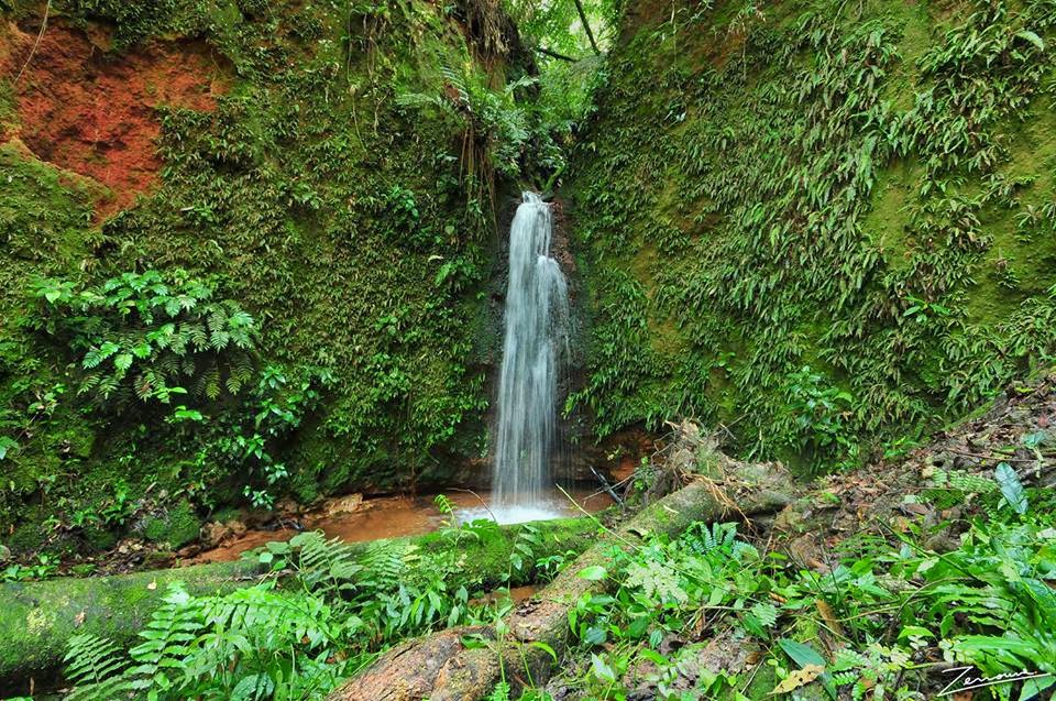 MUNDO STUFF Reserva Natural Morombi Curuguaty, Paraguay