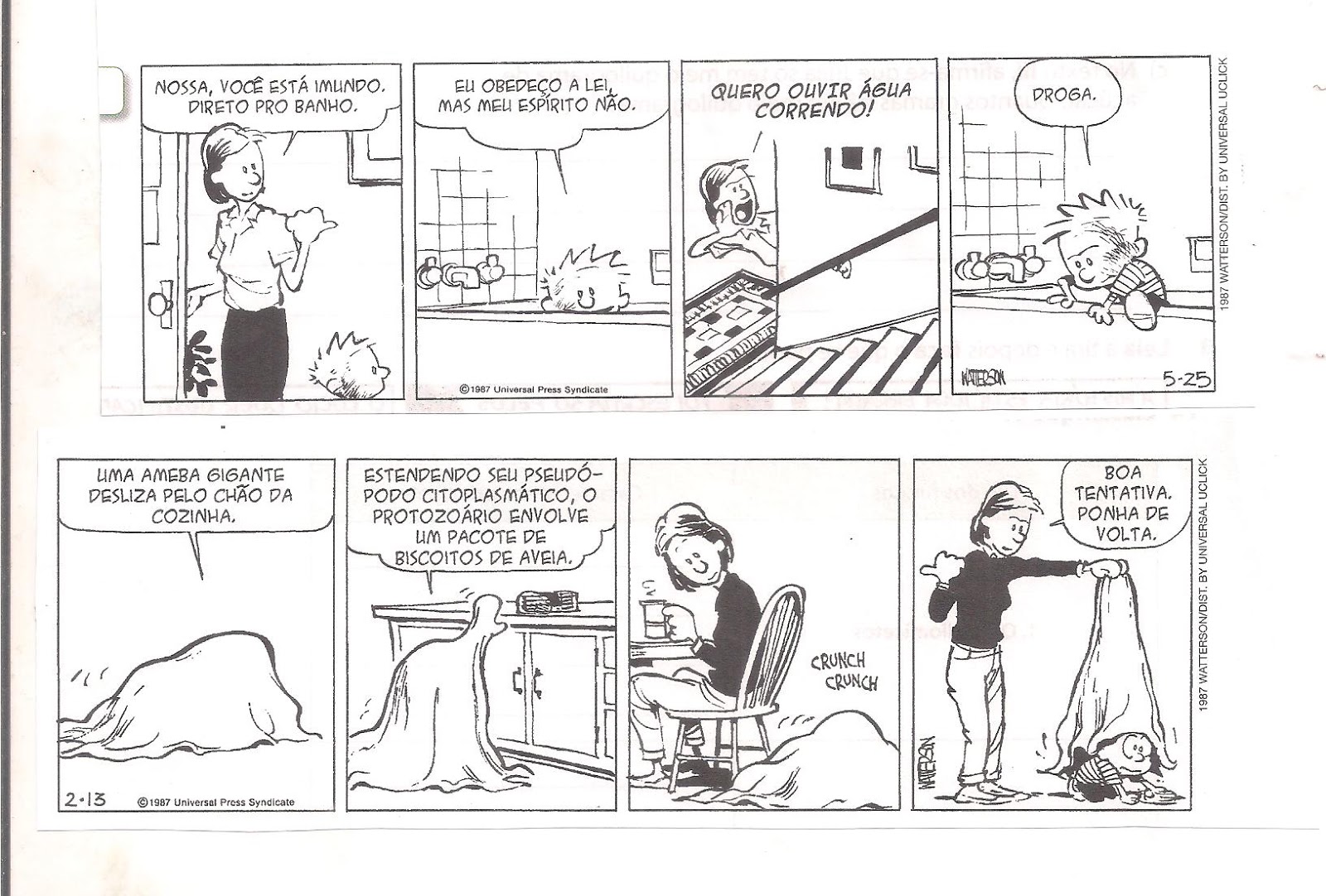 Interpretação De Tirinhas Do Calvin Com Gabarito