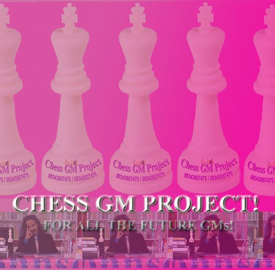Chess GM Project!