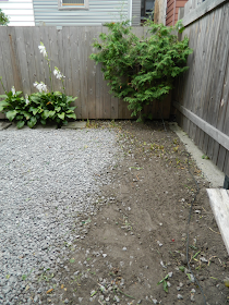 Brockton Village backyard garden cleanup Paul Jung Gardening Services Toronto after