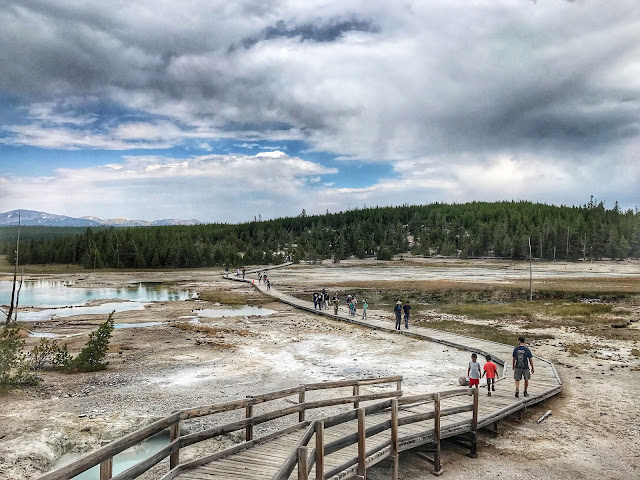 Norris Geyser Basin at Yellowstone