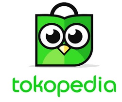 https://www.tokopedia.com/padepokanit/video-tutorial-excel-level-basic-mahir