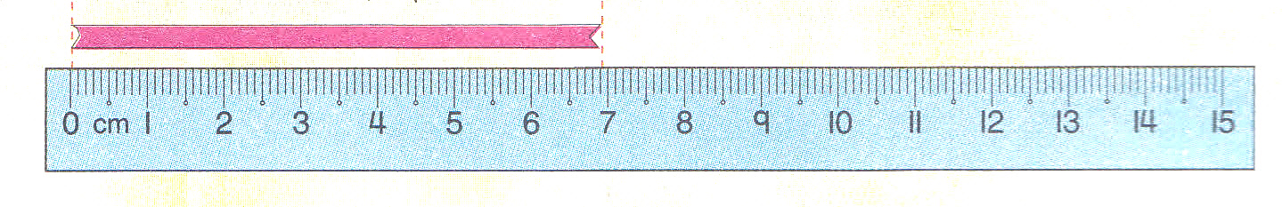 Learning MATH Read And Write Measurement Of Lengths