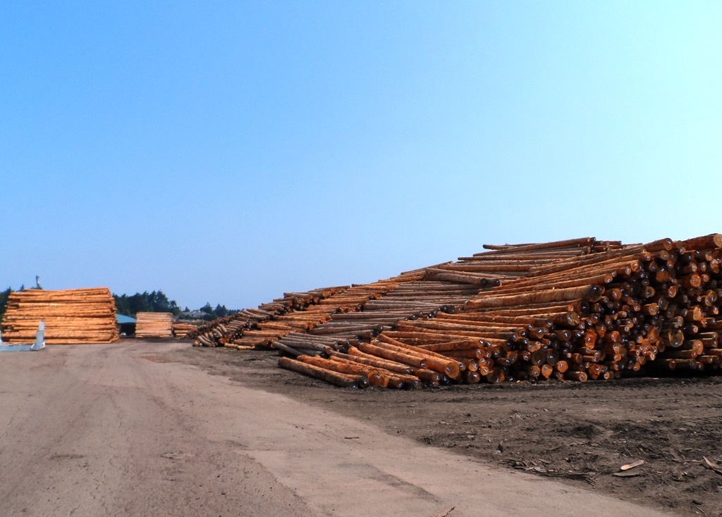 Retirement in The Villages AFTER Fulltime RVing With Rick and Orinda