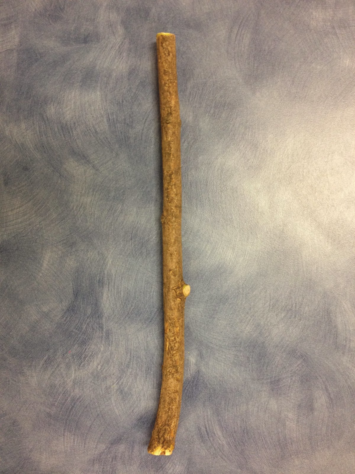 Where Is My Little Stick A Math Journey: Talking Stick