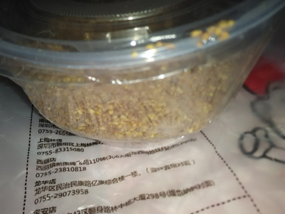 barley tea barley tea