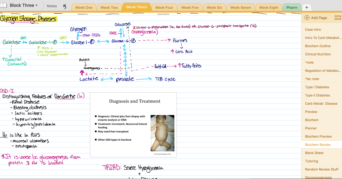 Med School-ing: Note taking? Flashcards? Apps? | Purely Positivitea