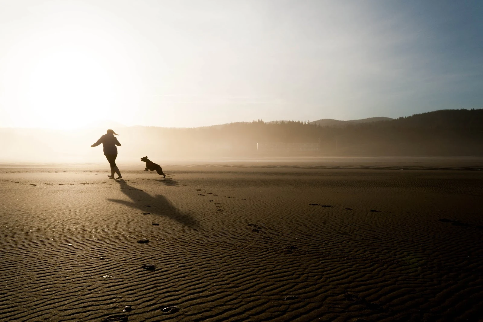 犬と一緒に浜辺を走る人