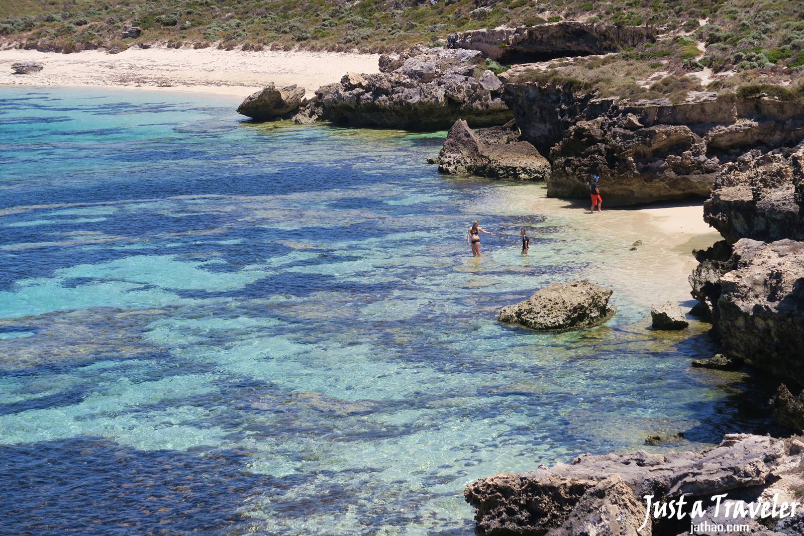 澳洲-西澳-伯斯-景點-羅特尼斯島-Rottnest Island-浮潛-海灘-推薦-自由行-交通-旅遊-遊記-攻略-行程-一日遊-二日遊-必玩-必遊-Perth