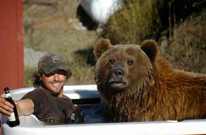 A Man Found Two Bear Cubs About to Die. Words Can’t Describe What Followed.