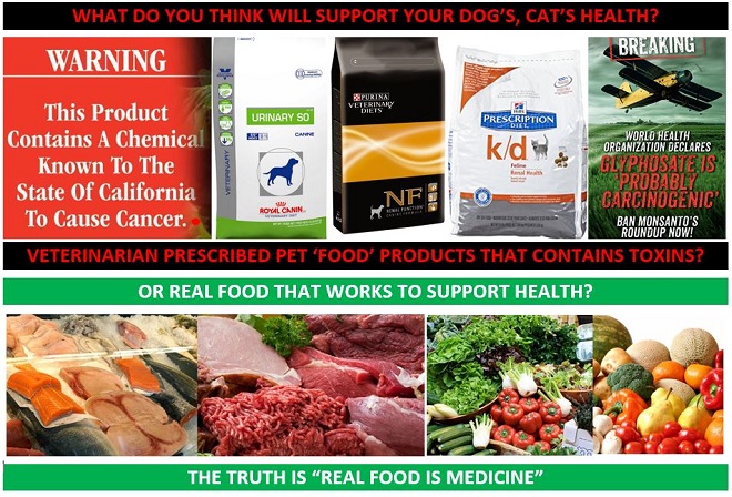 homemade dog food recipe for struvite bladder stones