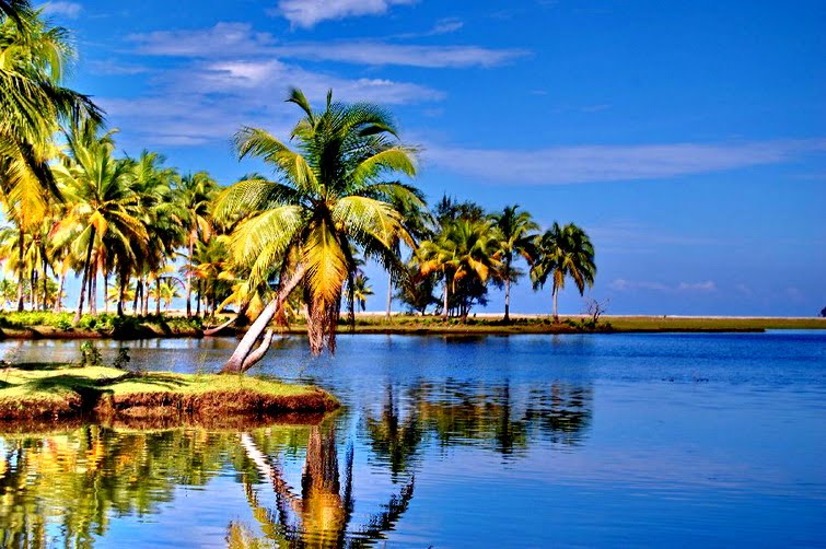 unusual ladies sandals