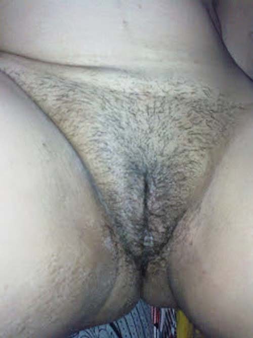 free indian hairy pussy