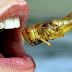 Is There Any Health Benefits of Edible Insects?