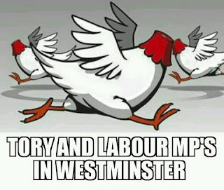 Headless chickens. Tory and Labour MPs in Westminster after the Brexit vote. Headless chickens. Tory and Labour MPs in Westminster after the Brexit vote.