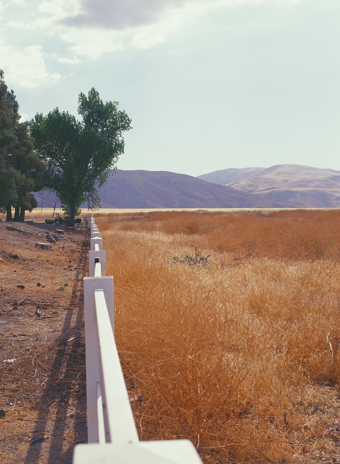 San Joaquin Valley, CA Threedown