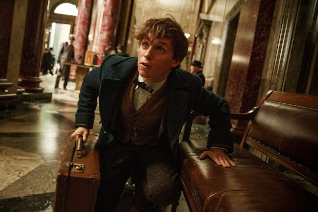 EDDIE REDMAYNE as Newt Scamander in Warner Bros. Pictures' fantasy adventure "FANTASTIC BEASTS AND WHERE TO FIND THEM," a Warner Bros. Pictures release. eddie redmayne newt scamander fantastic beasts