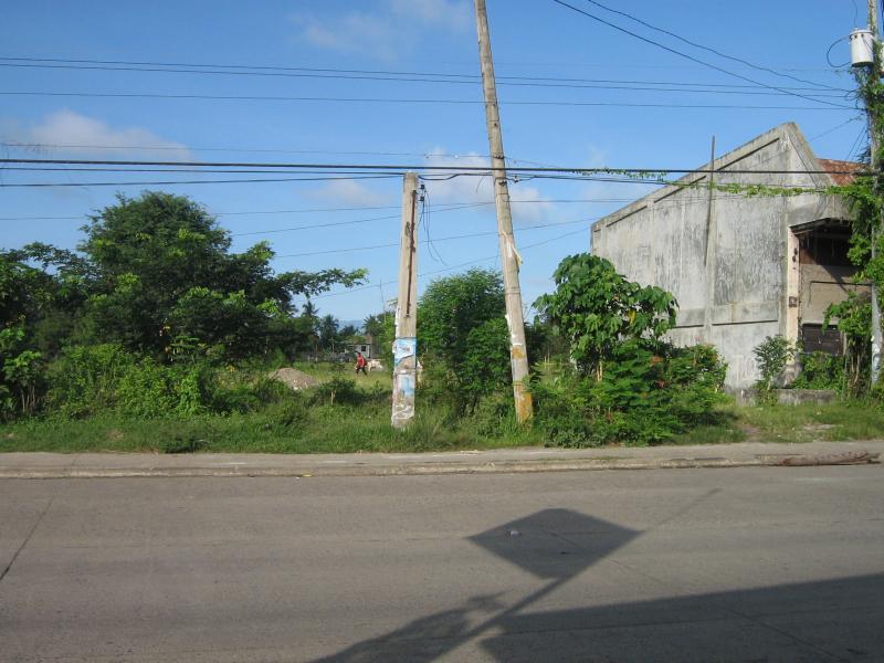 House and lots for sale HOUSE & LOT at El Rio Vista, Bacaca Road
