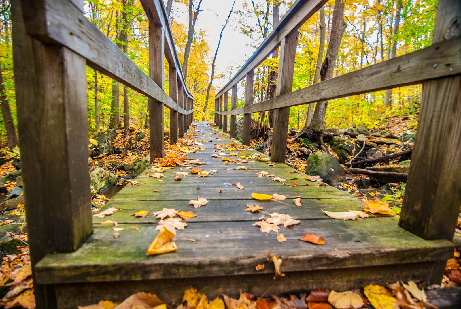 Litton's Fishing Lines River Nature Trail and