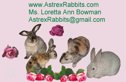 Astrex Rabbits Curly Wavy Bunnies: March 2015
