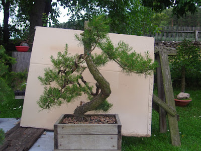 Drak léto 2009